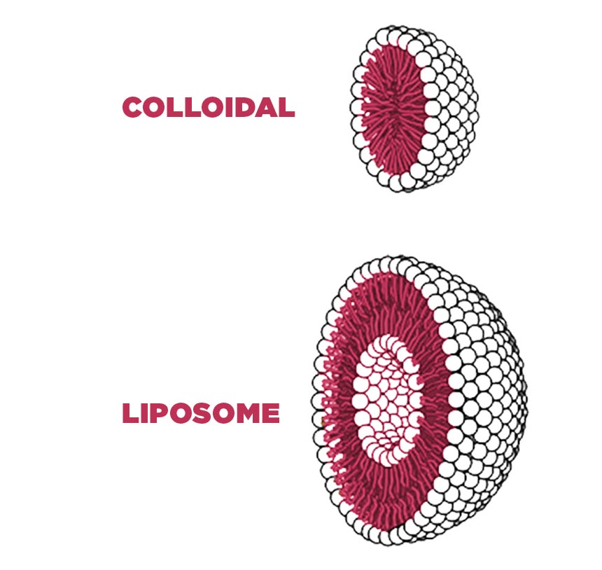 Illustration of colloidal and liposomal encapsulation