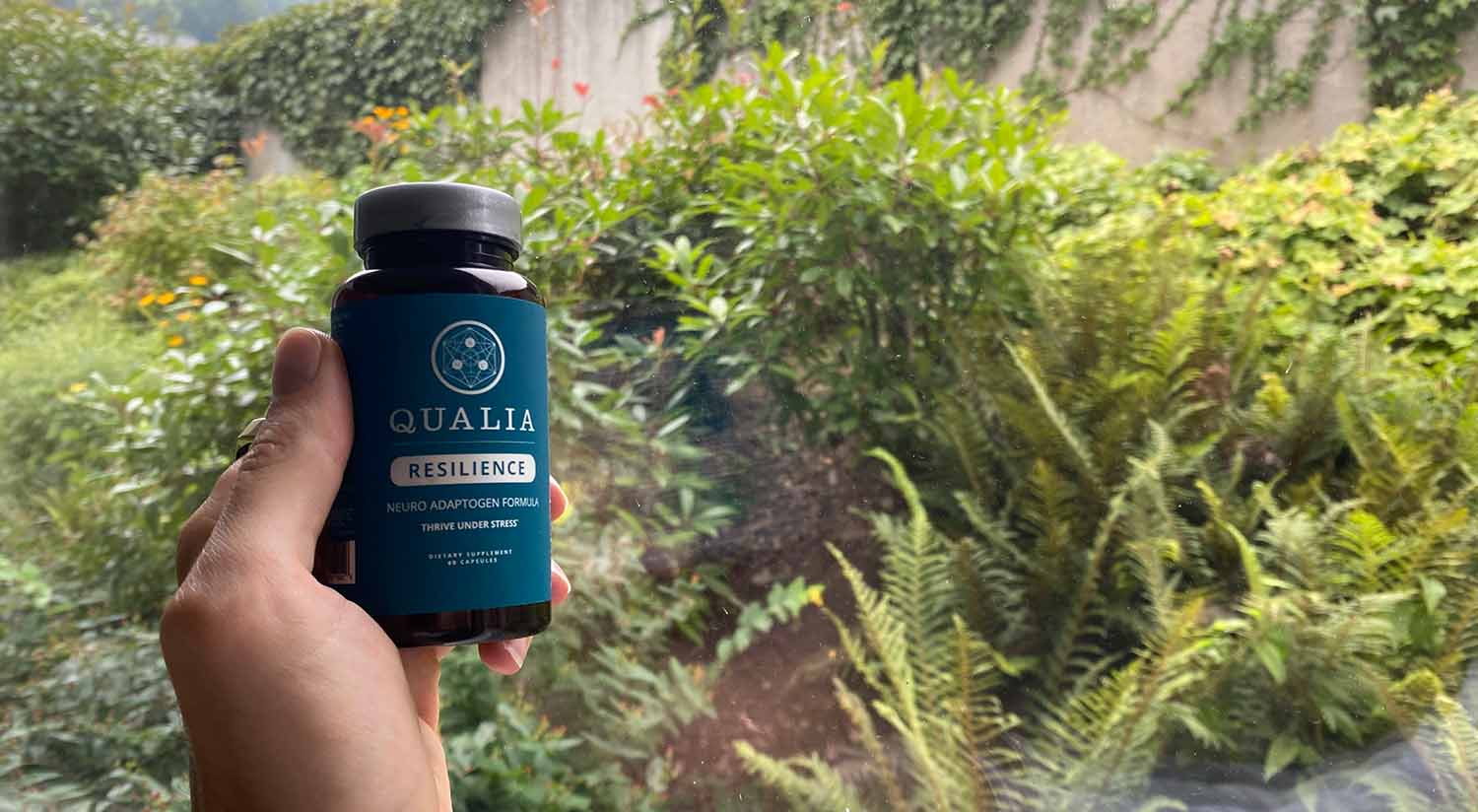 Qualia Resilience - My Review & Resilience Routines